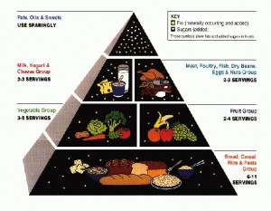 Food-Pyramid1-300x233