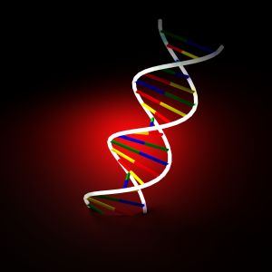 Vitiligo Gene Research 2014